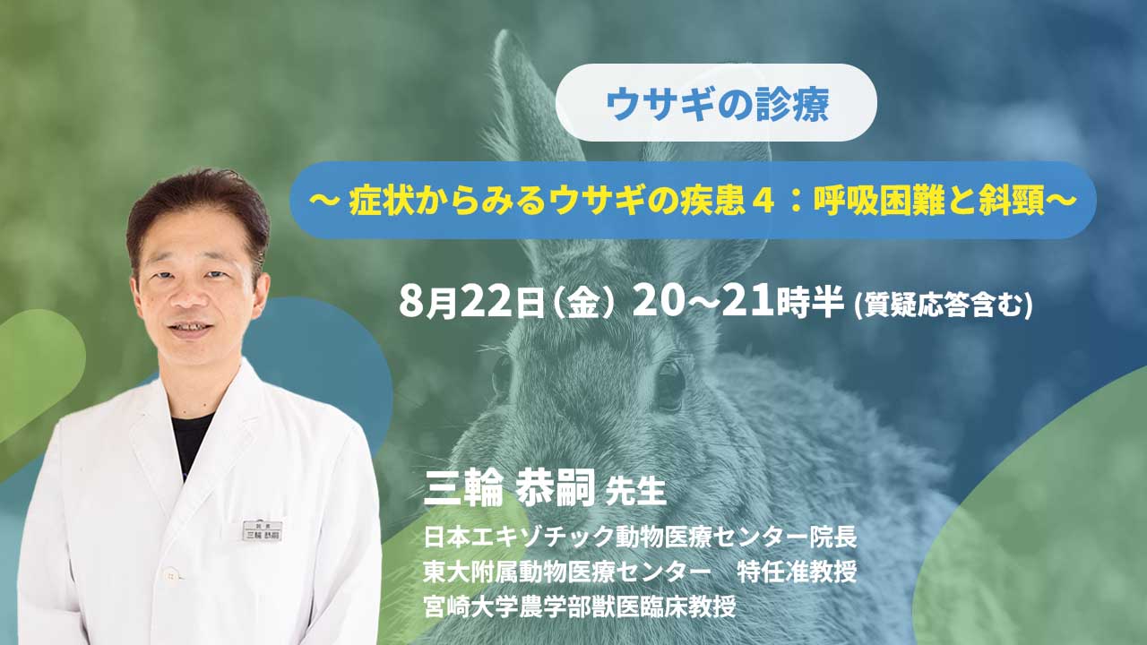 ウサギの診療 ～ 症状からみるウサギの疾患4：呼吸困難と斜頸
